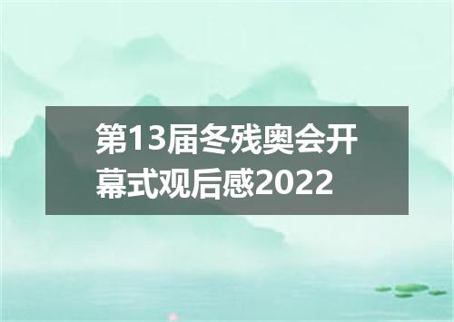 第13届冬残奥会开幕式观后感2022