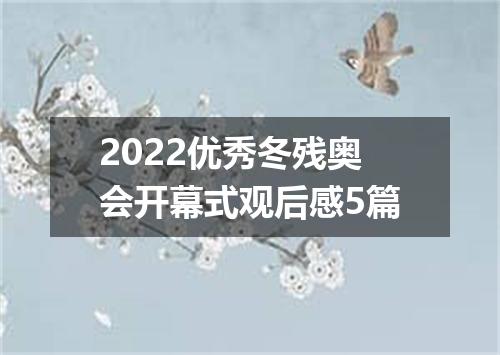 2022优秀冬残奥会开幕式观后感5篇