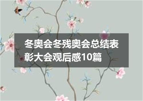 冬奥会冬残奥会总结表彰大会观后感10篇