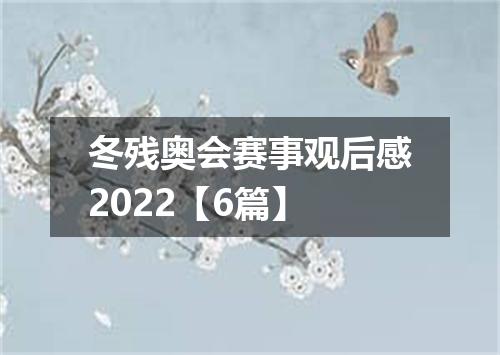 冬残奥会赛事观后感2022【6篇】
