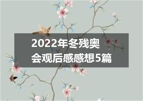 2022年冬残奥会观后感感想5篇