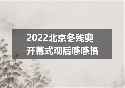2022北京冬残奥开幕式观后感感悟