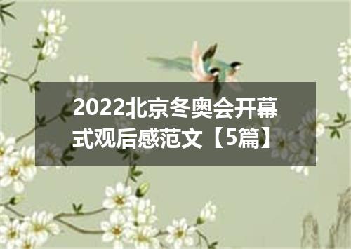 2022北京冬奥会开幕式观后感范文【5篇】
