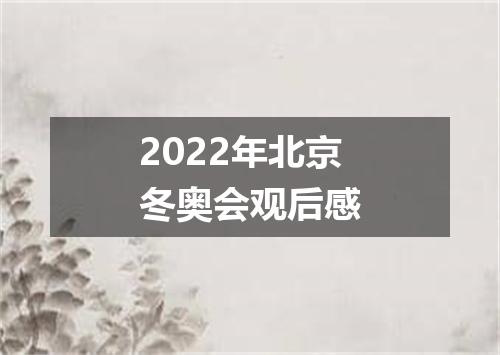 2022年北京冬奥会观后感