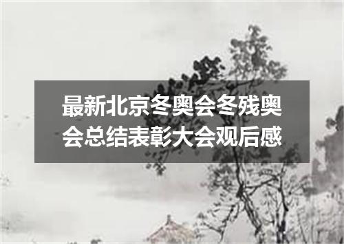 最新北京冬奥会冬残奥会总结表彰大会观后感