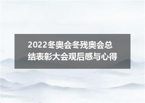 2022冬奥会冬残奥会总结表彰大会观后感与心得