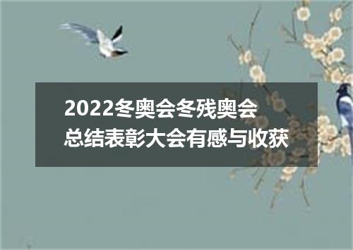 2022冬奥会冬残奥会总结表彰大会有感与收获