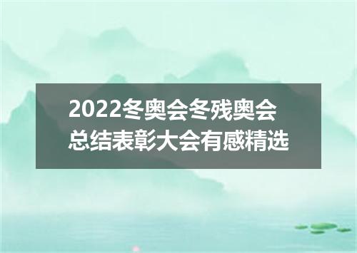 2022冬奥会冬残奥会总结表彰大会有感精选