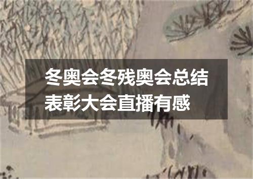 冬奥会冬残奥会总结表彰大会直播有感