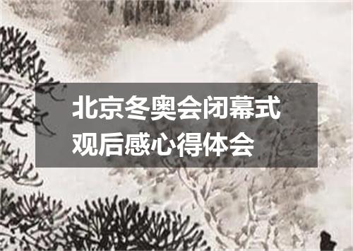 北京冬奥会闭幕式观后感心得体会