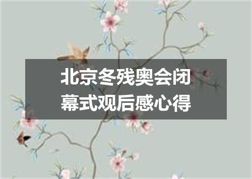 北京冬残奥会闭幕式观后感心得