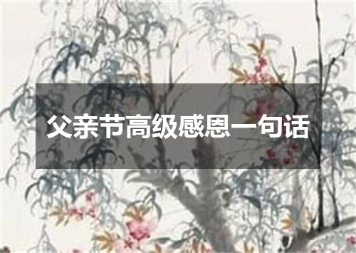 父亲节高级感恩一句话
