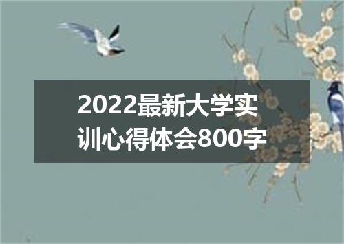 2022最新大学实训心得体会800字