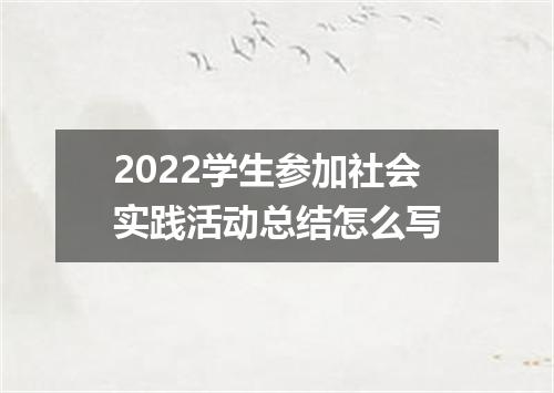 2022学生参加社会实践活动总结怎么写