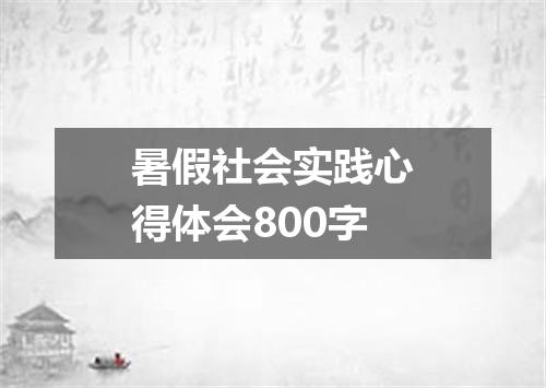 暑假社会实践心得体会800字