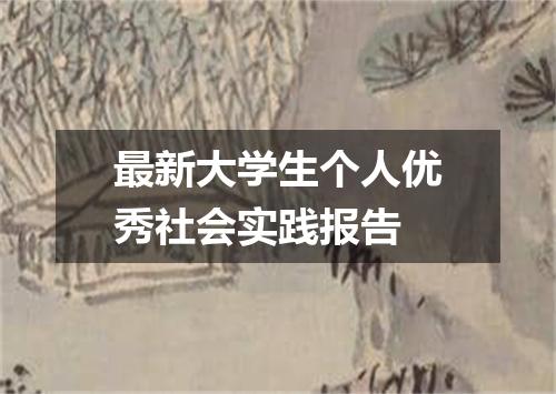 最新大学生个人优秀社会实践报告