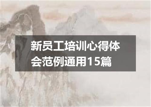 新员工培训心得体会范例通用15篇