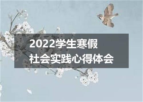 2022学生寒假社会实践心得体会