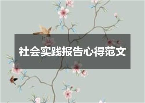社会实践报告心得范文