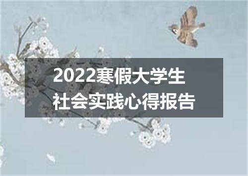 2022寒假大学生社会实践心得报告