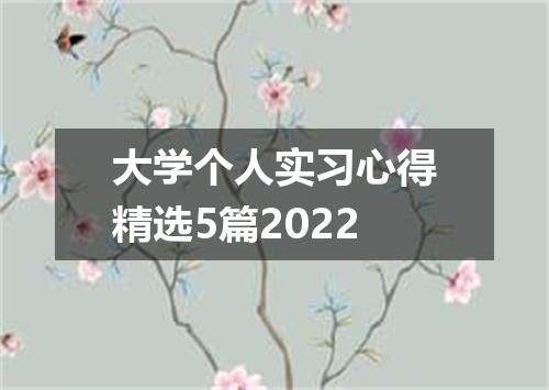 大学个人实习心得精选5篇2022