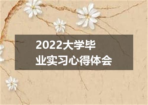 2022大学毕业实习心得体会