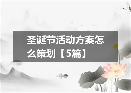 圣诞节活动方案怎么策划【5篇】