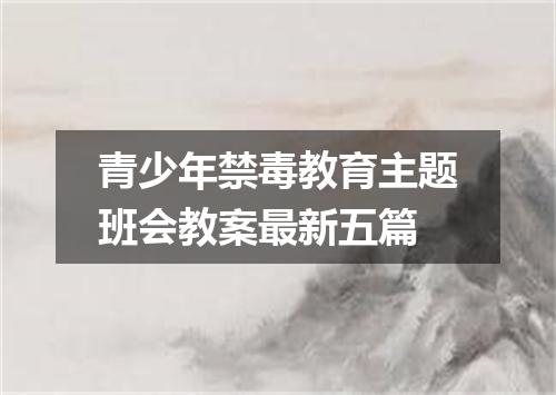 青少年禁毒教育主题班会教案最新五篇