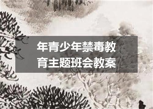 年青少年禁毒教育主题班会教案