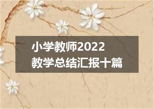 小学教师2022教学总结汇报十篇
