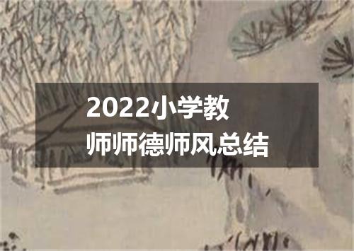 2022小学教师师德师风总结