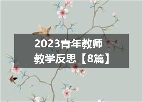 2023青年教师教学反思【8篇】