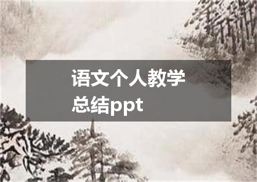 语文个人教学总结ppt
