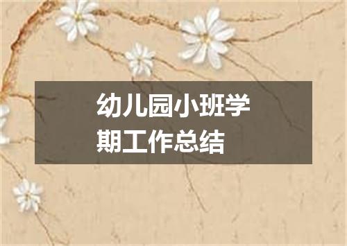 幼儿园小班学期工作总结