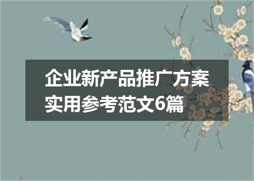 企业新产品推广方案实用参考范文6篇