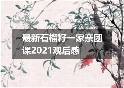 最新石榴籽一家亲团课2021观后感