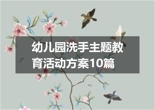 幼儿园洗手主题教育活动方案10篇
