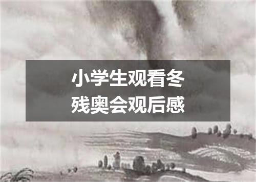小学生观看冬残奥会观后感