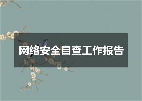 网络安全自查工作报告