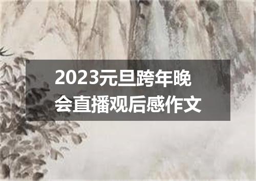 2023元旦跨年晚会直播观后感作文