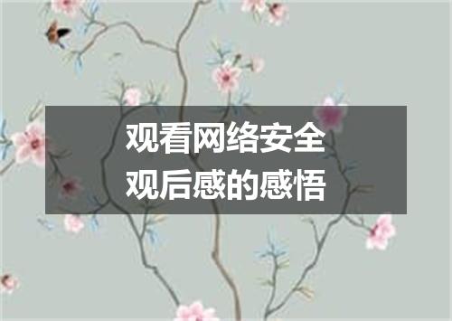 观看网络安全观后感的感悟