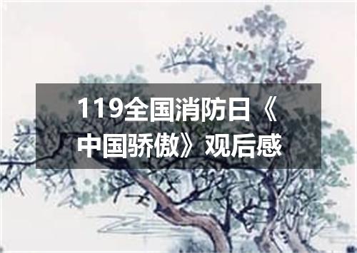 119全国消防日《中国骄傲》观后感