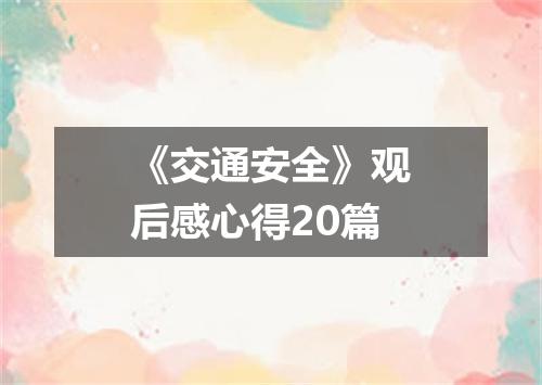 《交通安全》观后感心得20篇