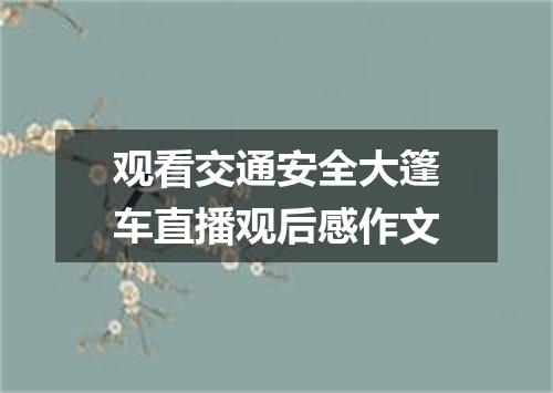 观看交通安全大篷车直播观后感作文