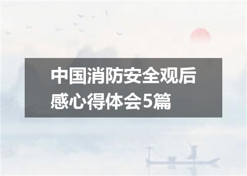 中国消防安全观后感心得体会5篇