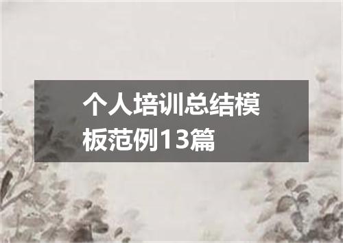 个人培训总结模板范例13篇