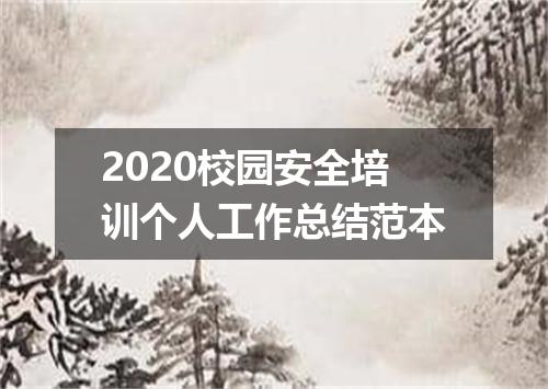 2020校园安全培训个人工作总结范本