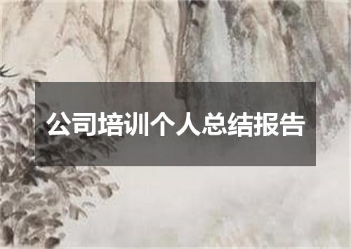 公司培训个人总结报告