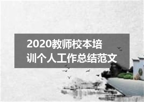 2020教师校本培训个人工作总结范文