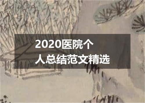 2020医院个人总结范文精选